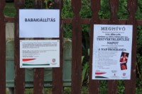 Testv�rtelep�l�si nap 2022.
